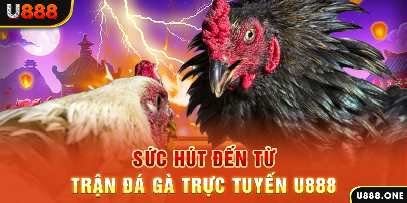 keo bong 88 sòng bạc TỶ LỆ BÓNG ĐÁ