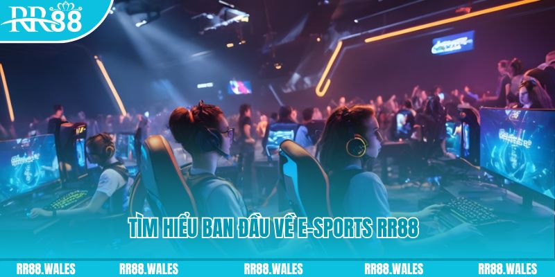 181bet casino SÒNG BẠC