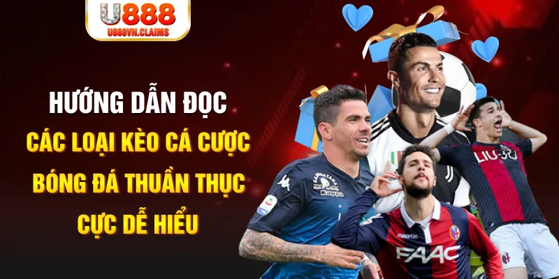 developer bet casino tỷ lệ bóng đá